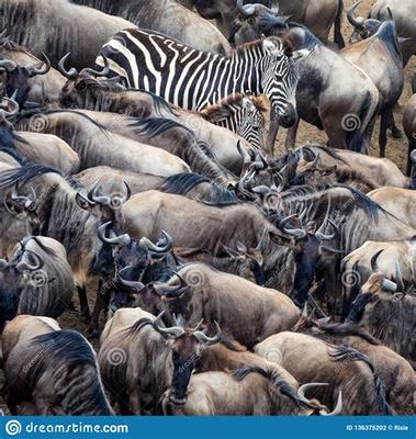 菏澤地區網絡游戲修改及網絡技術開發必讀指南