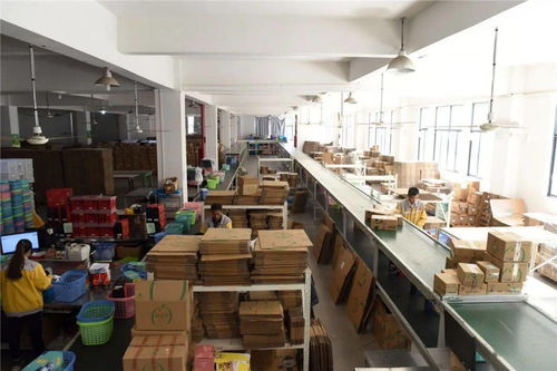 臨安工廠備戰雙十一 生產不停、分倉不歇的緊張有序圖景